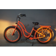 Green Wheel 48V500W Rear Motor Electric Fat Tire Bike for Lady